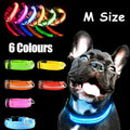 M Size USB Rechargeable LED Dog Collar Nylon Glow Flashing Light Up Pet Collar - Yellow