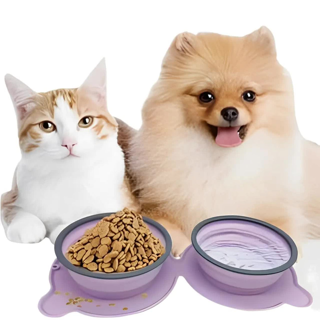 Grey Portable Collapsible Pet Bowl Set - Food-Grade Silicone Double Bowl for Dogs & Cats, Anti-Slip & Easy to Clean