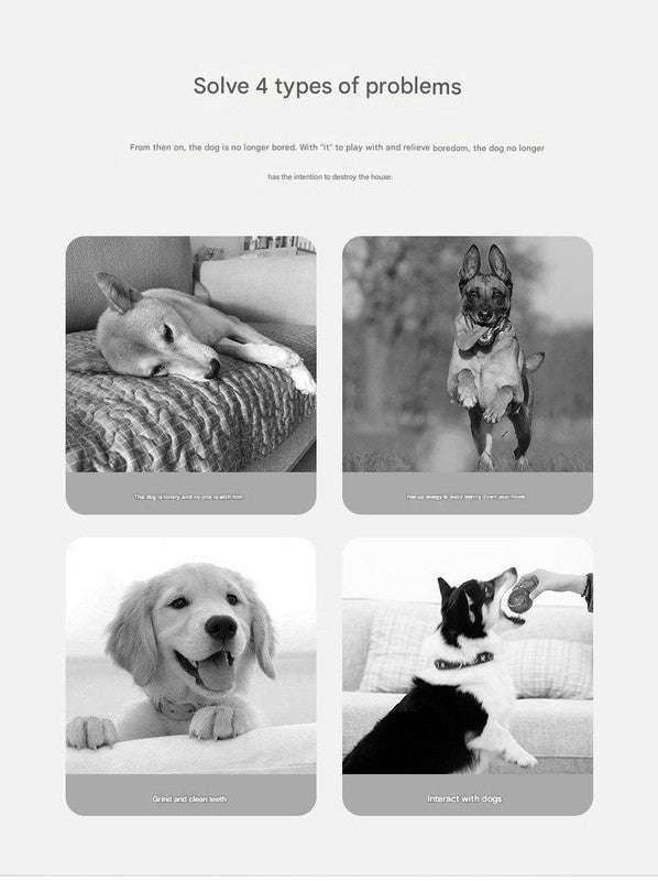 Durable Dog Training Interactive Ball with Sensory Tags(Dark green watermelon)