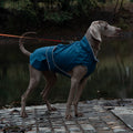 65# Blue Waterproof Reflective Dog Raincoat for Small to Large Dogs