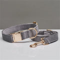 XS Grey Luxury Velvet Pet Collar & Leash Set - Engravable Dog Collar with Gold Hardware